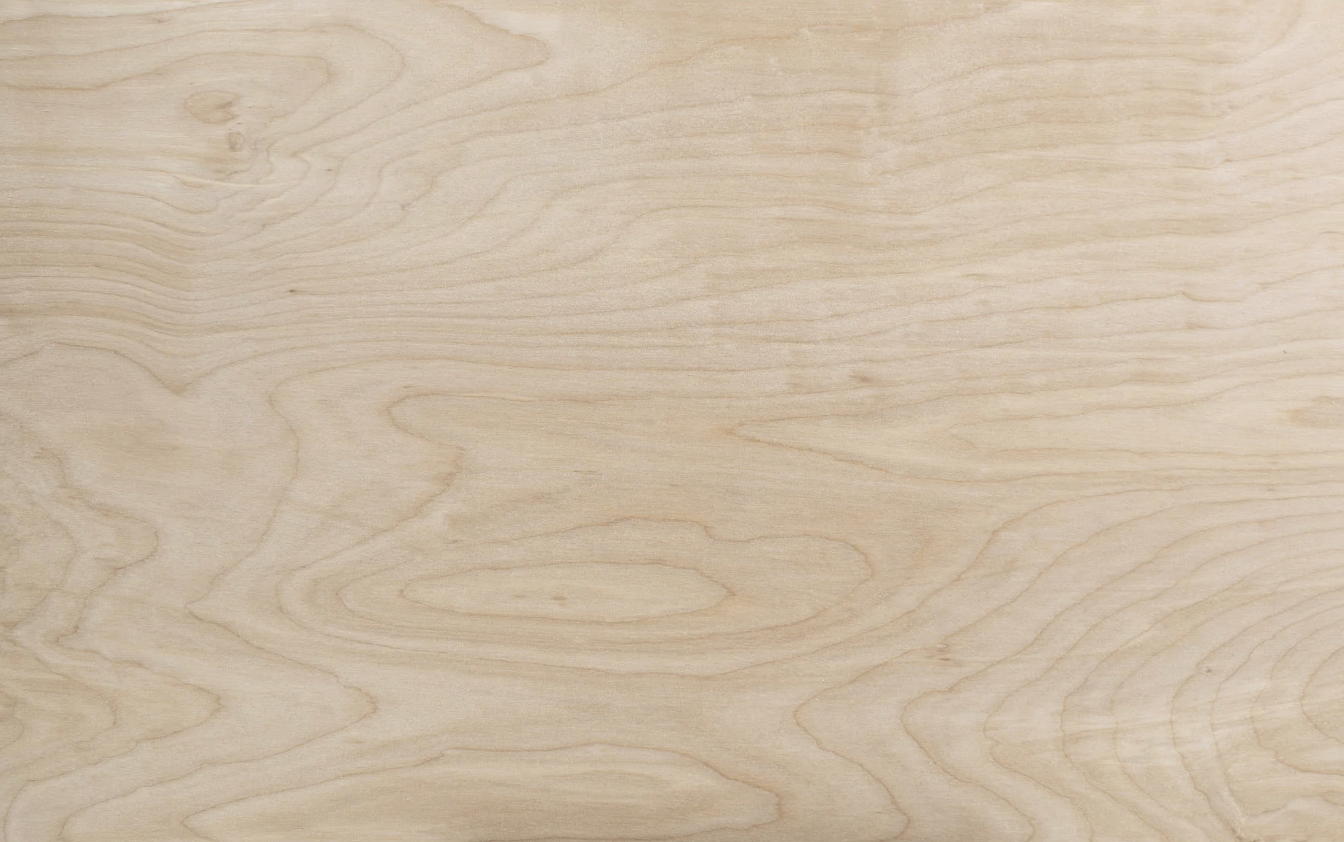 Birch wood grain